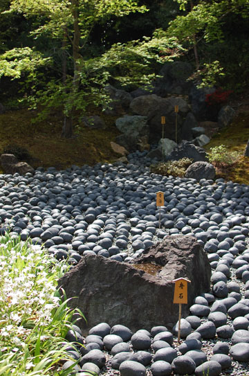 c0039736_15594760.jpg
