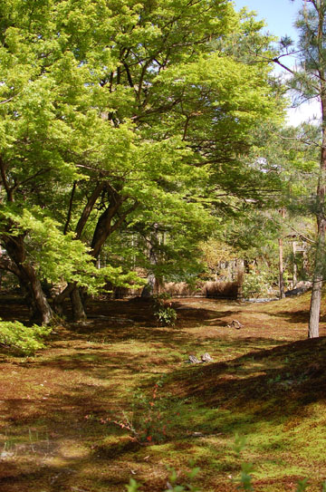 c0039736_1604379.jpg