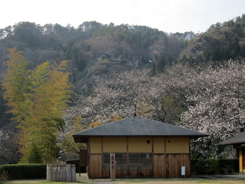 b0178339_77098.jpg