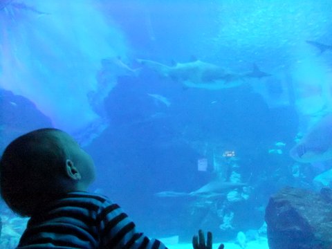f0210340_2121443.jpg