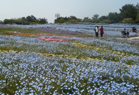 f0210340_2142338.jpg