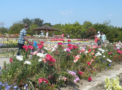 f0210340_21441127.jpg