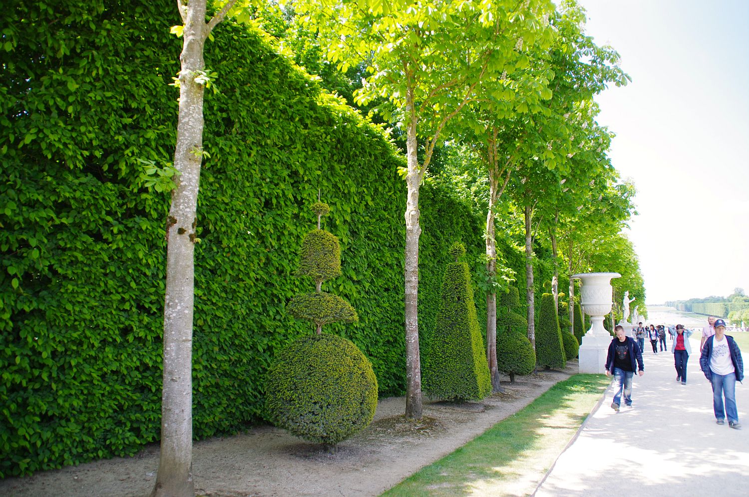 【世界遺産】　ヴェルサイユ宮殿と庭園　庭園　　画像集_b0212342_11152814.jpg