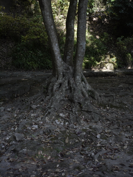 e0296043_190397.jpg