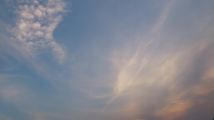 f0229844_2022453.jpg