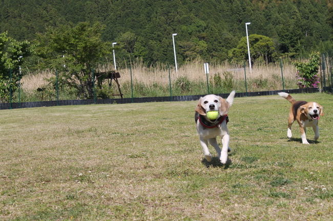 b0005652_18425528.jpg