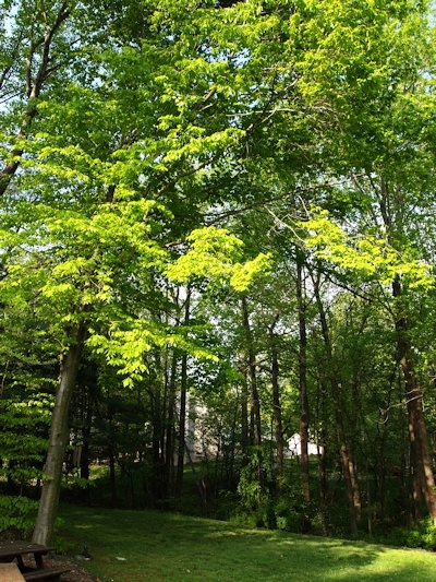 c0181652_23477.jpg