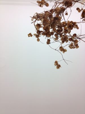 2日目。_e0060555_18561298.jpg