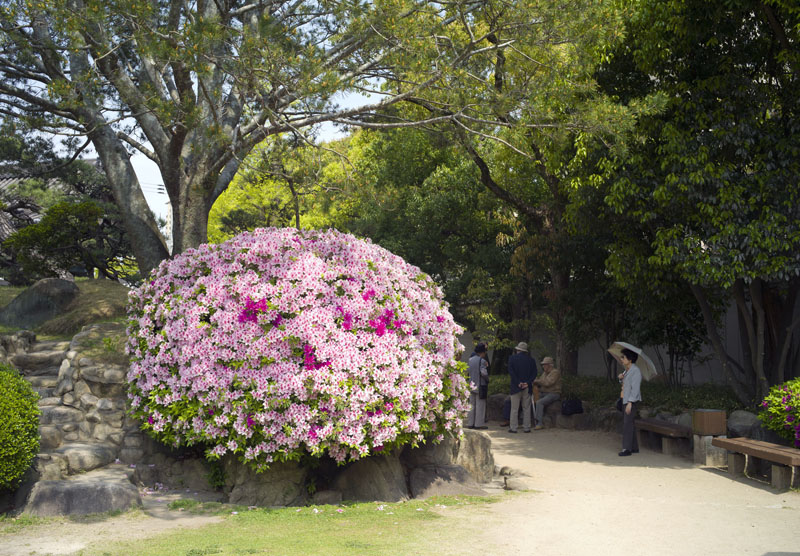 新緑の神戸相楽園_e0030457_187463.jpg