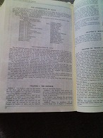 憲法記念日 \'13_f0053757_2365427.jpg