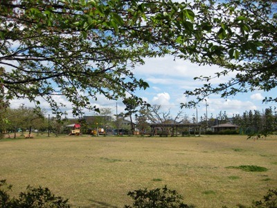 c0190960_8312080.jpg