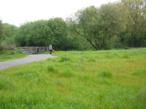 b0134961_5241188.jpg