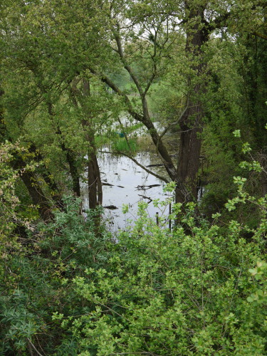 b0134961_5244441.jpg