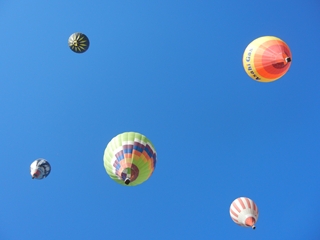 a0118264_1712879.jpg