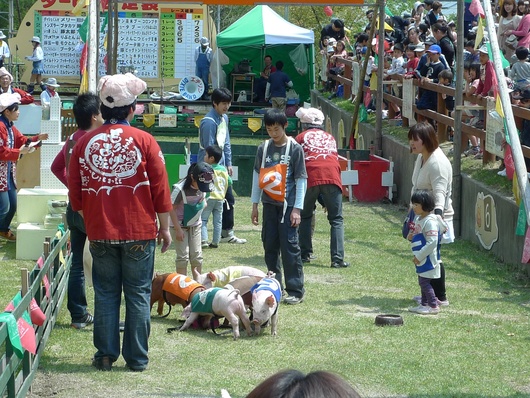 f0142070_16232898.jpg