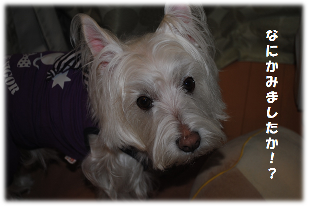 b0242873_01218.png