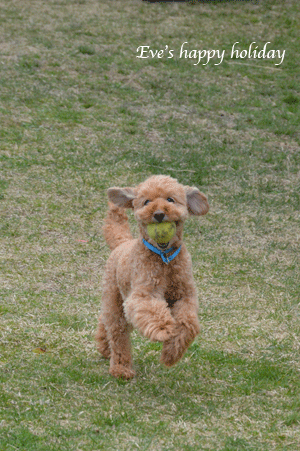 b0243873_20283549.gif