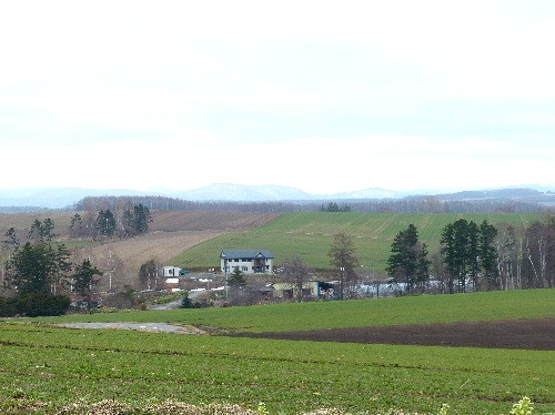 d0084473_20282023.jpg