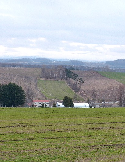 d0084473_20282757.jpg