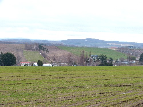 d0084473_20283458.jpg