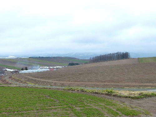 d0084473_20284873.jpg
