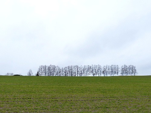 d0084473_2029107.jpg