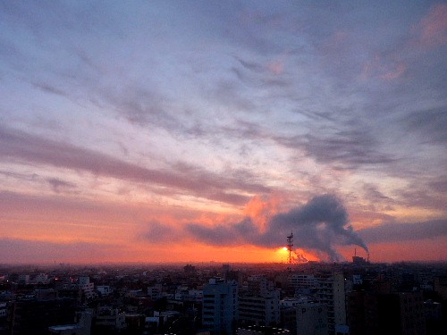 d0084473_20291834.jpg