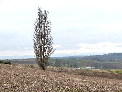 d0084473_2029352.jpg
