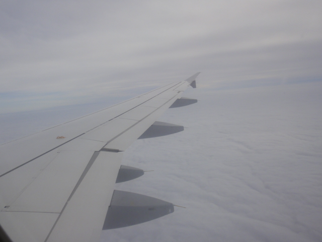 f0062680_1511339.jpg