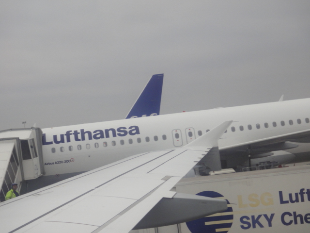 f0062680_1515926.jpg