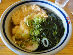 GW、うどんを食べるの巻_d0132289_11385294.jpg