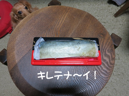 19年ぶりに、トロール人形 発掘 したったwww_b0200291_20574578.jpg