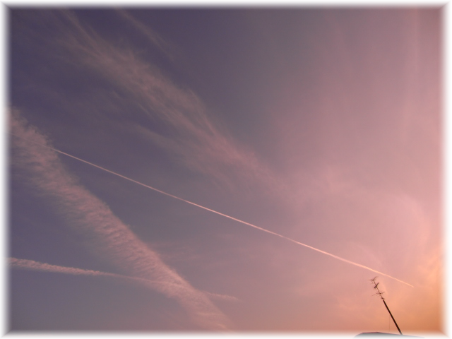 b0232891_16215649.png