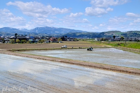 越中八尾「曳山祭」～五月三日の聞名寺境内にて_b0155692_22415383.jpg