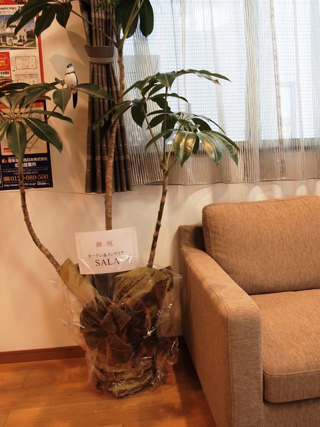 広テレ住宅展示場“百年住宅”様モデルハウス完成!_f0196294_14543952.jpg