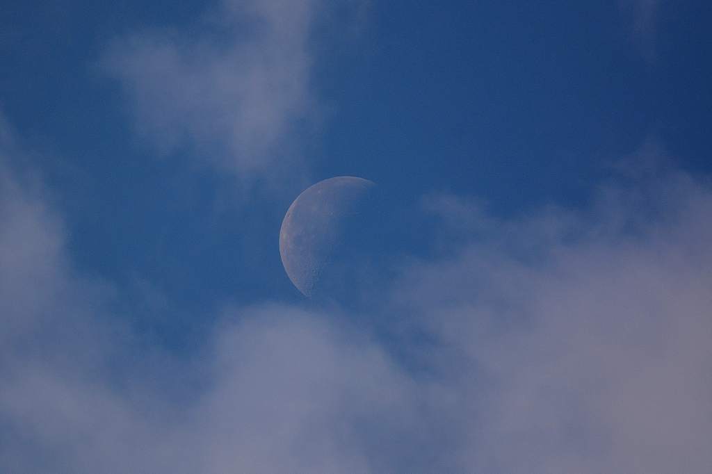 b0024798_11546.jpg