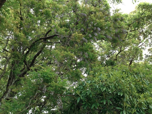 c0095900_8591067.jpg