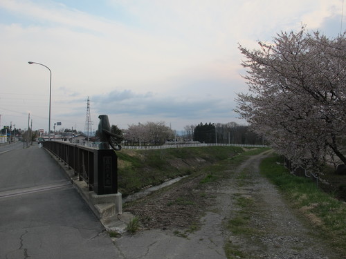 新緑寒波の朝、置賜自転車道をまほろばの里へ桜を求めてのサイクリング_c0075701_181142.jpg