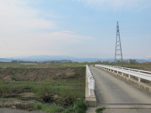 新緑寒波の朝、置賜自転車道をまほろばの里へ桜を求めてのサイクリング（１０）_c0075701_1946454.jpg