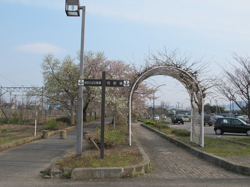 新緑寒波の朝、置賜自転車道をまほろばの里へ桜を求めてのサイクリング（１６）_c0075701_20272038.jpg