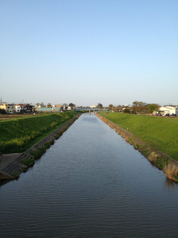 a0000006_1482292.jpg