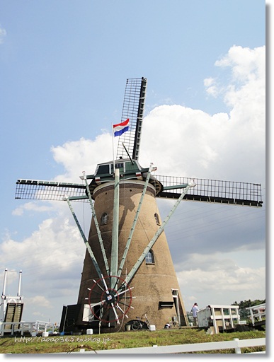 f0203406_1235289.jpg