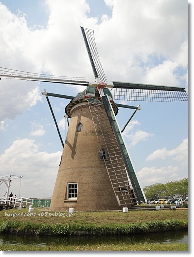 f0203406_124236.jpg