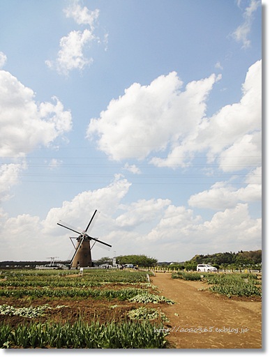 f0203406_125849.jpg