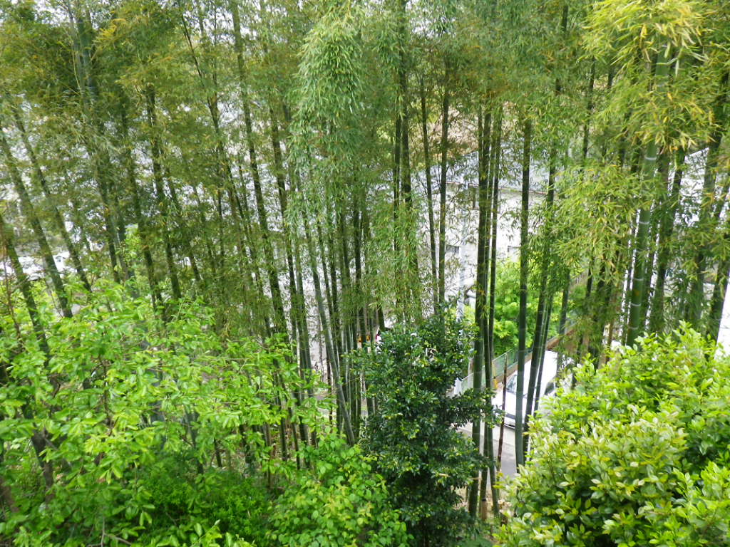 f0230410_055686.jpg