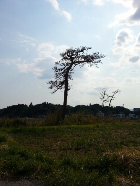 福島にて Fukushima 20130505_a0104020_2121646.jpg