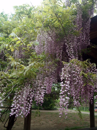 e0071225_2225140.jpg