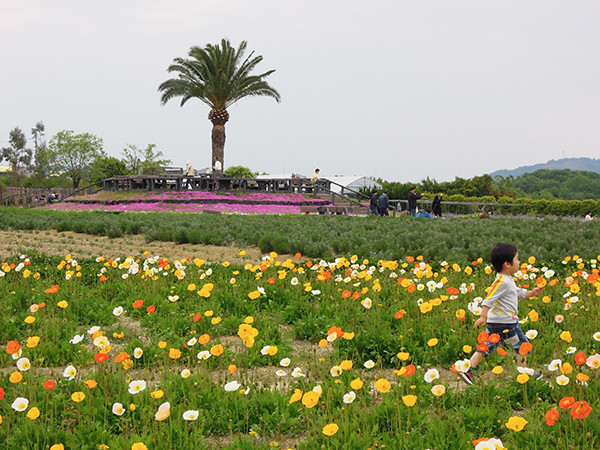 5月スケッチ予定場所和泉リサイクル環境公園へ下見に行ってきました！_b0212226_21343667.jpg