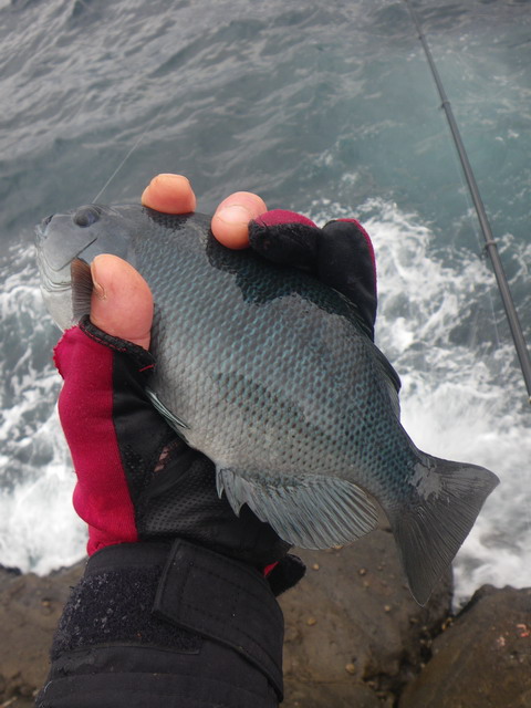 c0202727_13102767.jpg