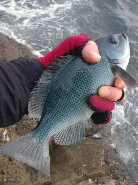 c0202727_13105837.jpg